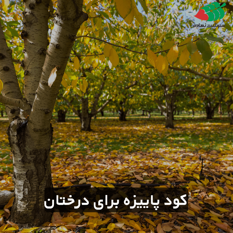 کود پاییزه برای درختان