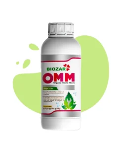 ارگانو ماکرو میکرو (OMM)