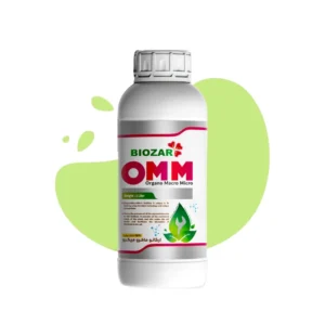 ارگانو ماکرو میکرو (OMM)